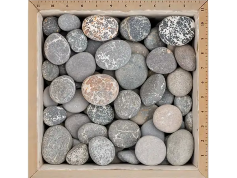 3-River-Jack-600x798